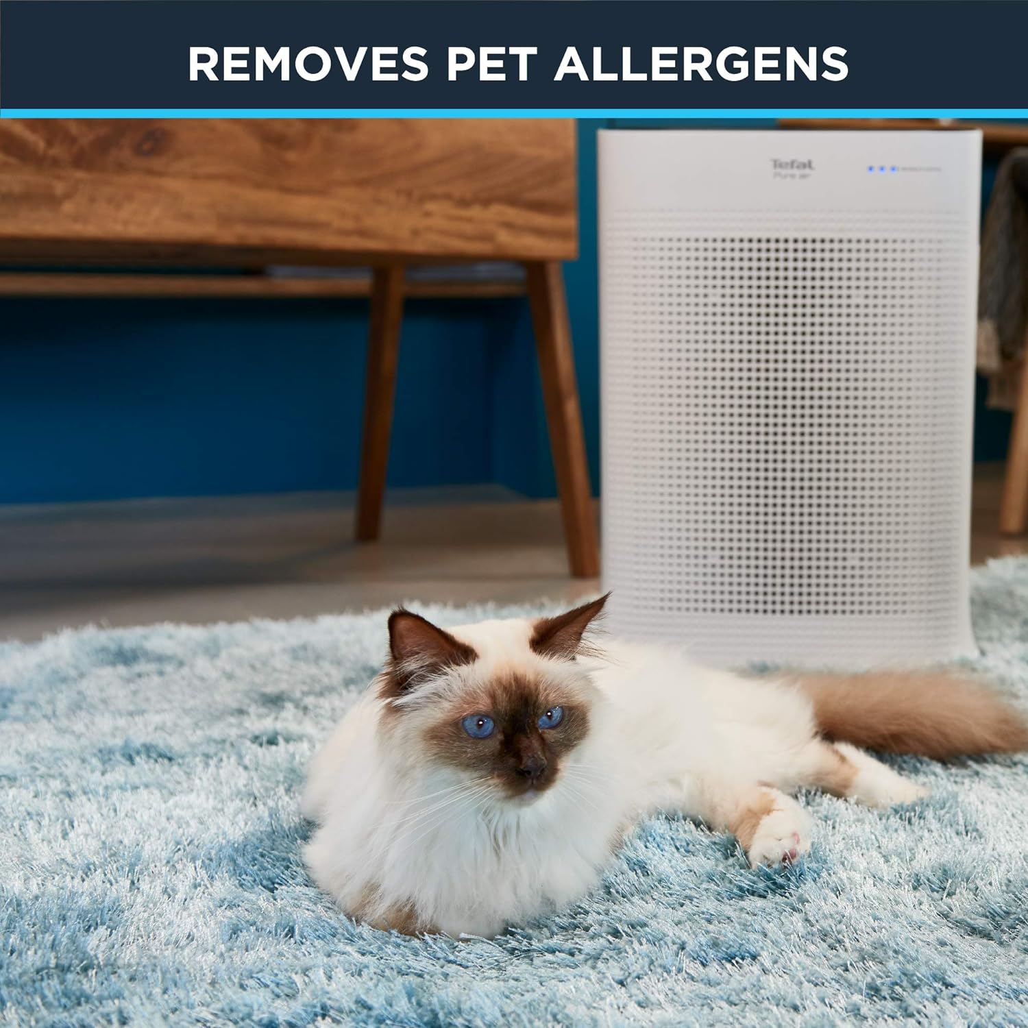 Purificateur d'air Pure Air - Rowenta - Rowenta - Purificateurs d'air - - La Guilde Culinaire