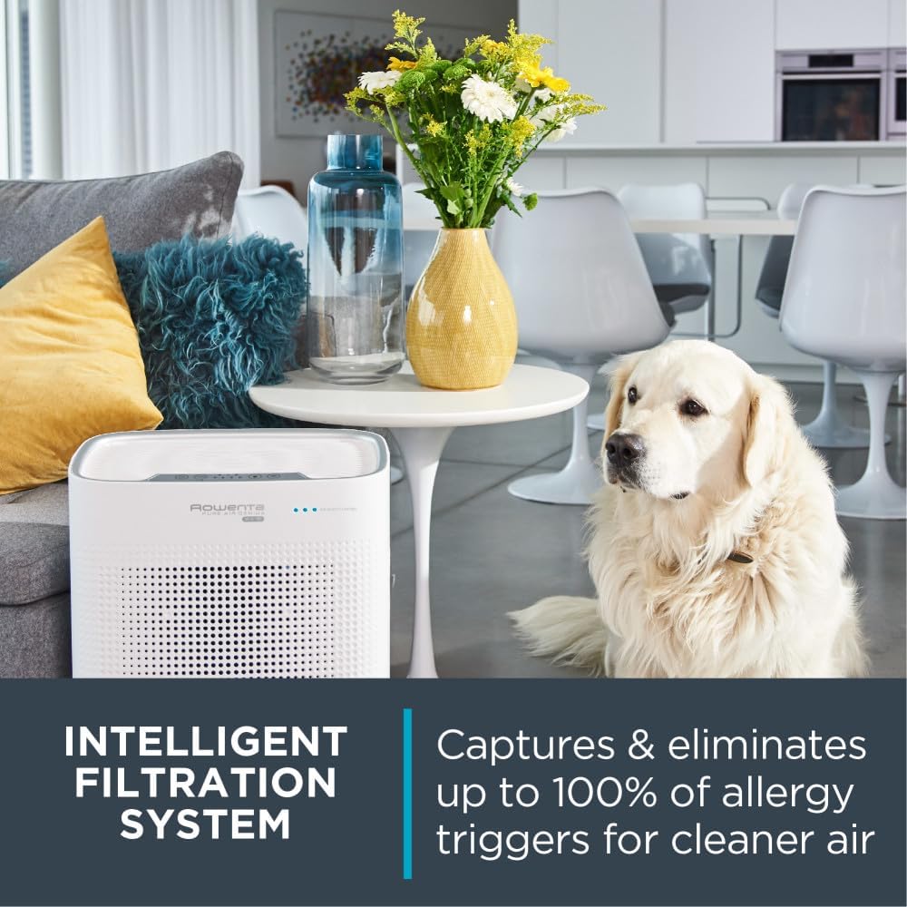 Purificateur d'air Pure Genius Connect - Rowenta - Rowenta - Purificateurs d'air - - La Guilde Culinaire