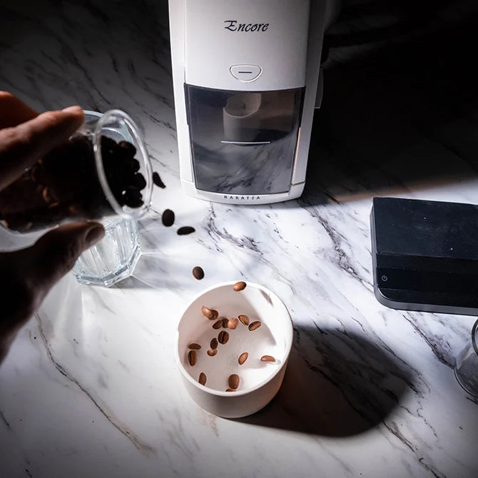 Moulin à café - Encore - Baratza - Moulin à café - - La Guilde Culinaire