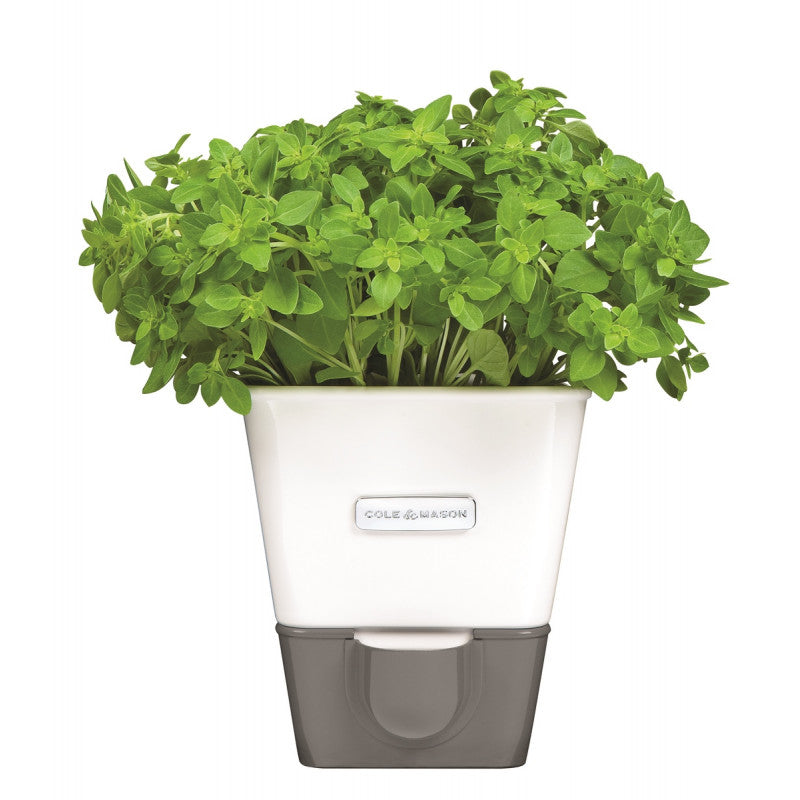 Jardinière pour fines herbes avec réservoir de Cole & Mason - Cole & Mason - Jardinière - - La Guilde Culinaire