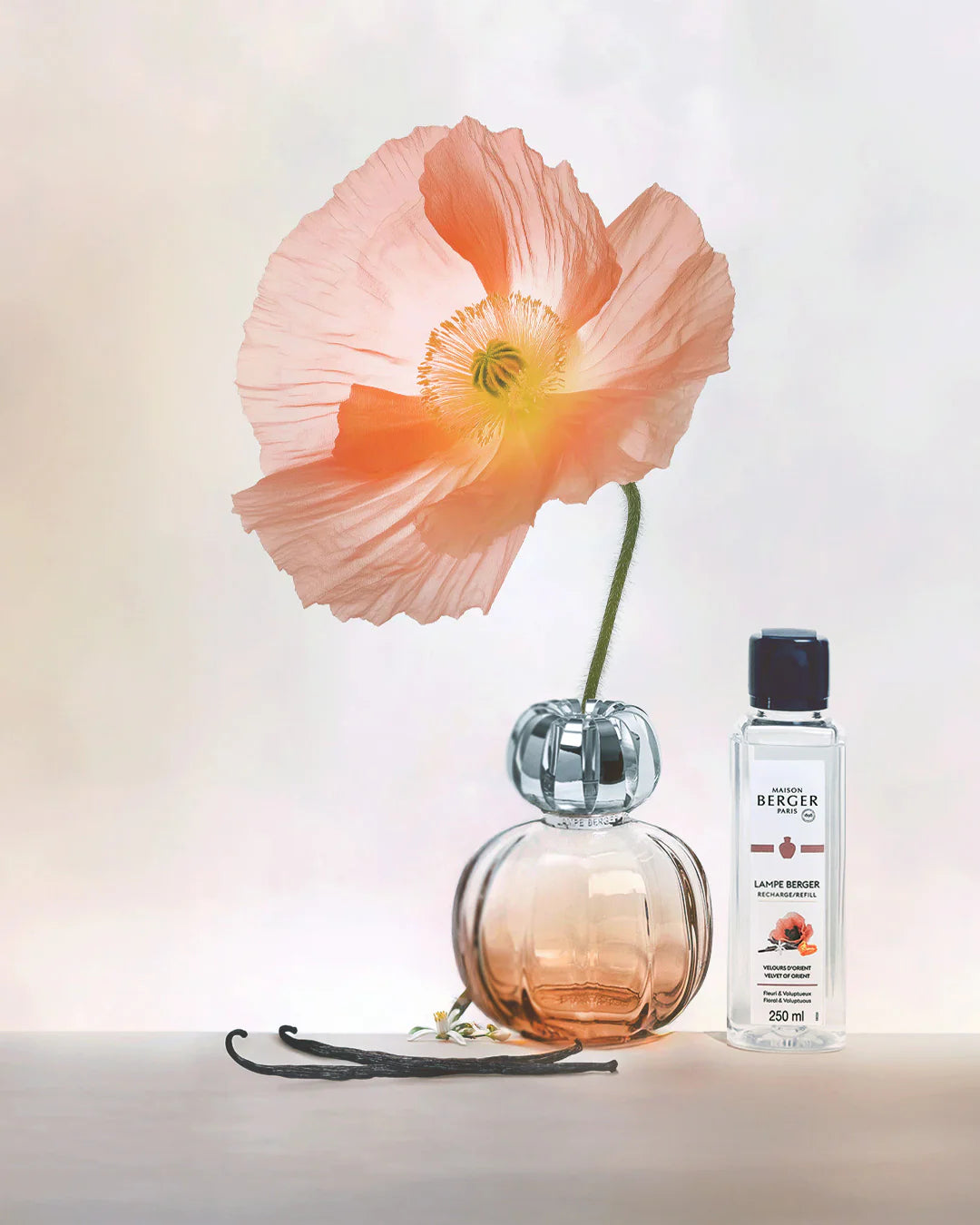 Coffret lampe Berger Corali Rose - Maison Berger Paris - Coffret Lampe Berger - - La Guilde Culinaire