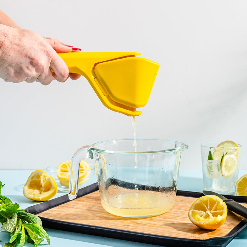FLUICER™ Presse-agrumes pliable à plat — image 3