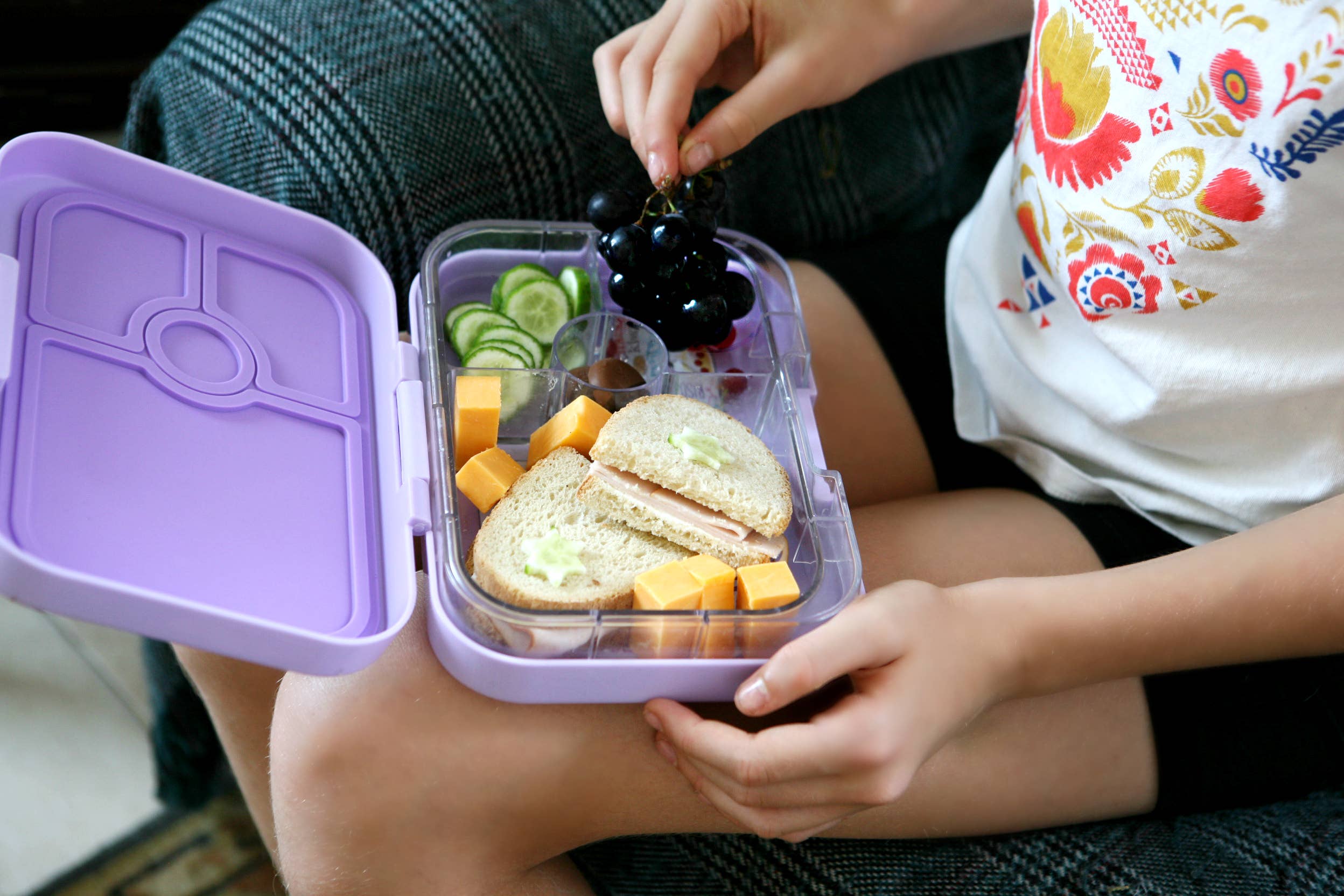 Yumbox Panino - Boîte à Bento Étanche et Amicale pour Sandwichs - Yumbox - Boîte à repas - - La Guilde Culinaire