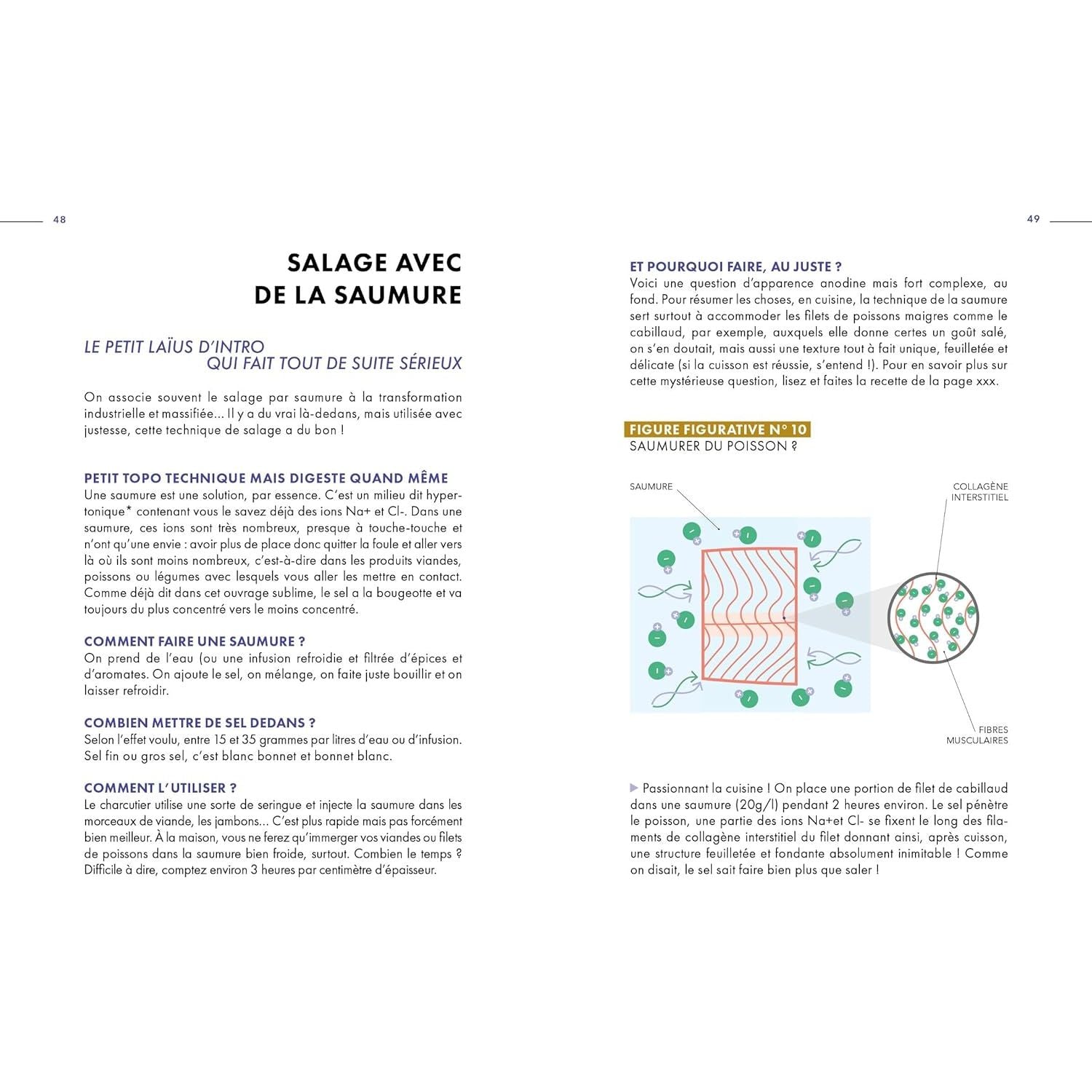 Le micro précis du sel en cuisine et pâtisserie - Homo Habilis Ed. - Livre de cuisine - - La Guilde Culinaire