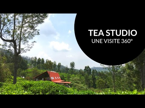 Mao Feng (sac de 60g) - Camellia Sinensis - Thé et infusion - - La Guilde Culinaire