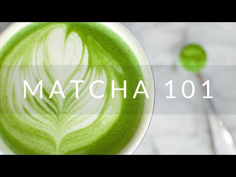 Matcha BARISTA Chine 500g - Camellia Sinensis - Thé et infusion - - La Guilde Culinaire