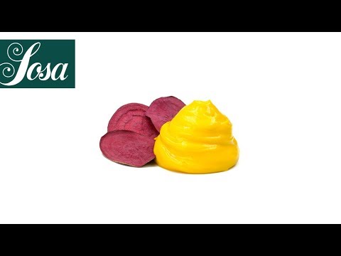 Proespuma Cold (Préparation froide pour mousses en siphon) - Sosa - Sosa - Produit moléculaire - - La Guilde Culinaire