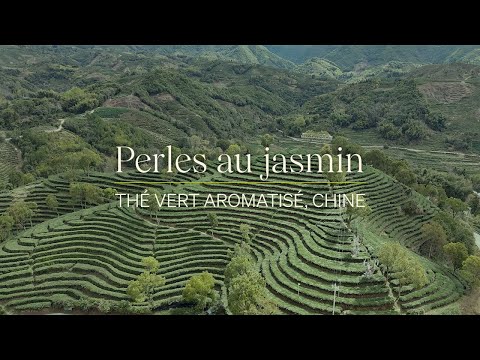 Perles au jasmin (sac de 75g) - Camellia Sinensis - Thé et infusion - - La Guilde Culinaire
