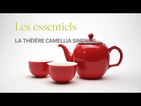 Théière Camellia Sinensis | Perfection * - Camellia Sinensis - Thé et infusion - - La Guilde Culinaire