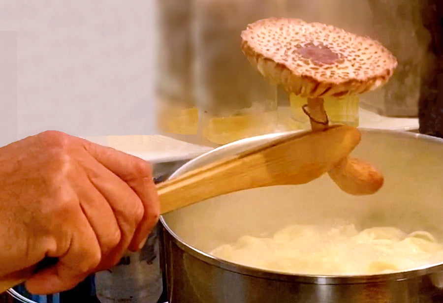 Cueilletout (Universel) - Littledeer - Pince de service - - La Guilde Culinaire