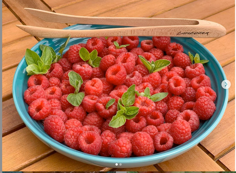 Le pourtout - Littledeer - Pince de service - - La Guilde Culinaire