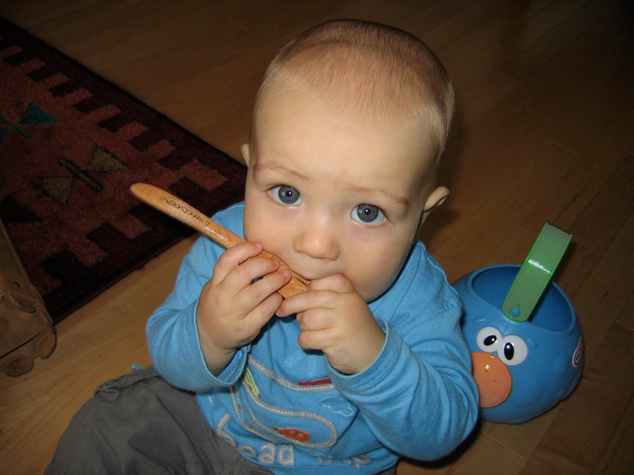 L'Écope délice Large (Droitier) 11" / 28cm - Littledeer - Cuillère de service - - La Guilde Culinaire