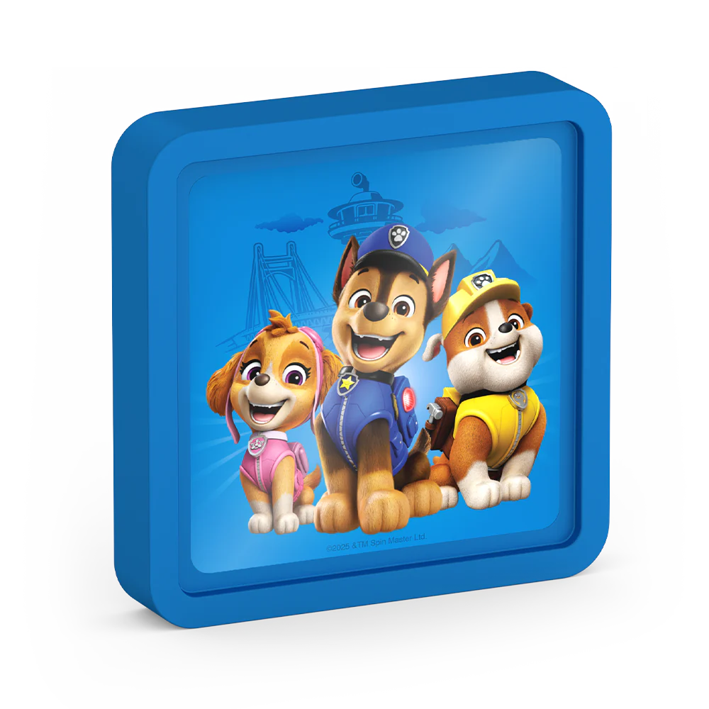 Bloc réfrigérant - Pat' Patrouille - Thermos - Bloc réfrigérant - - La Guilde Culinaire