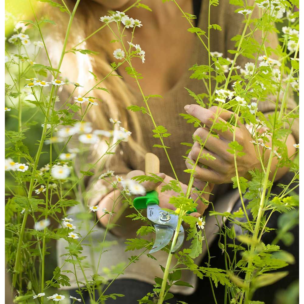 Opinel - Sécateur Prairie - Opinel - Couteau de table - - La Guilde Culinaire