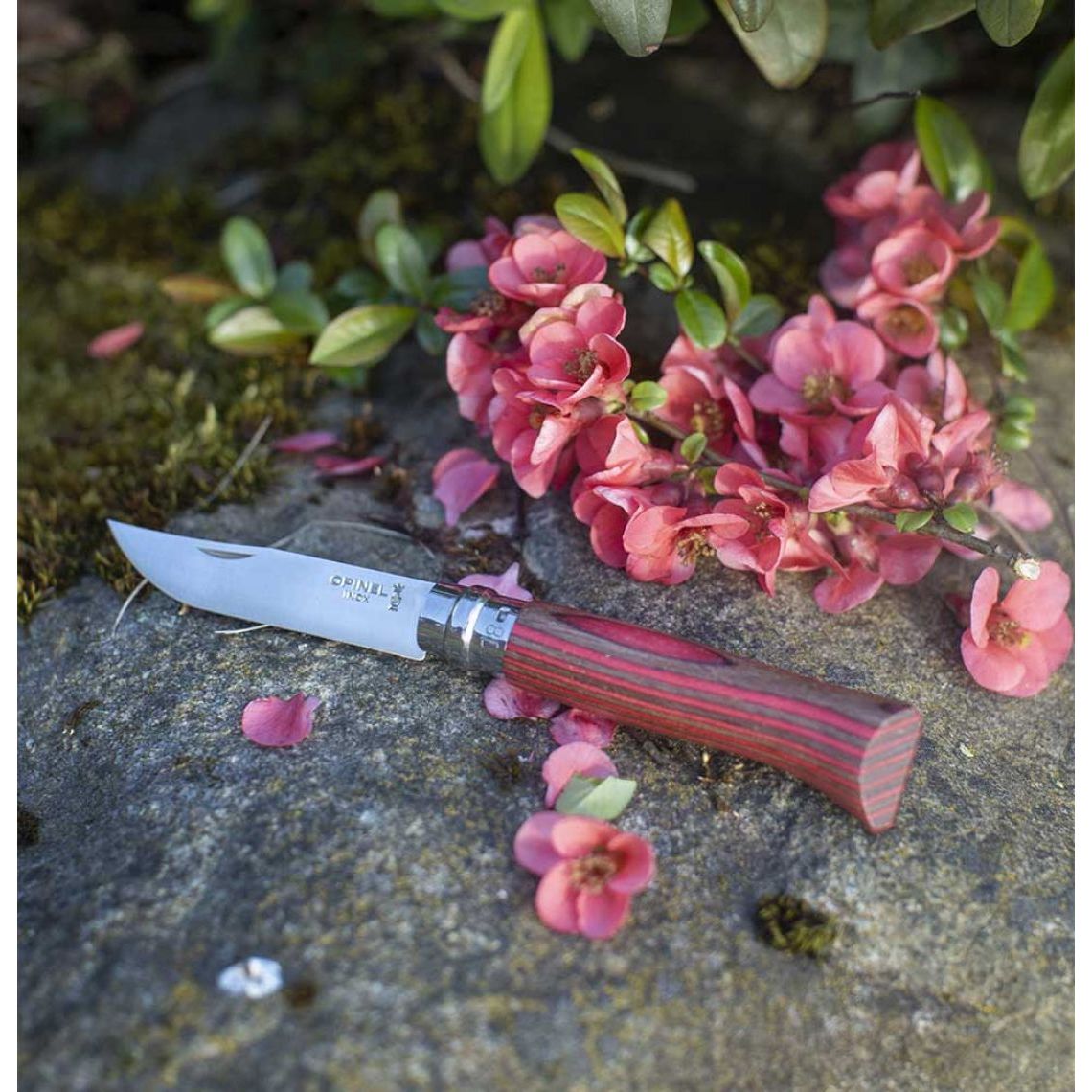 Opinel - N°08 Bouleau Lamellé Rouge - Opinel - Couteau de poche - - La Guilde Culinaire