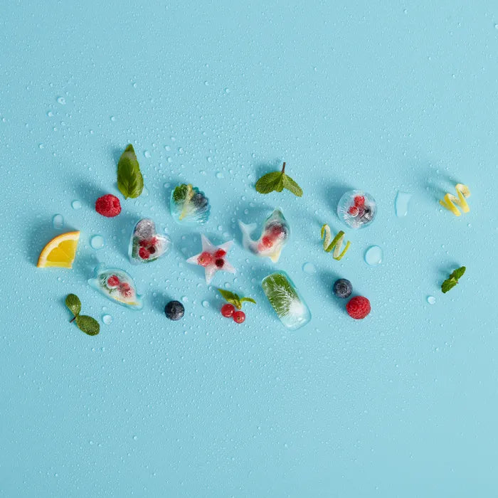 Bac à glaçons avec couvercle dauphin - Lékué - Contenant pour aliment - - La Guilde Culinaire