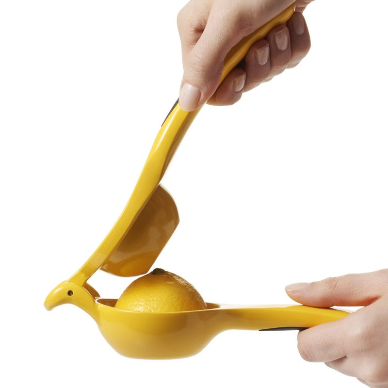Presse-agrumes Inox - OXO - Presse-agrume - - La Guilde Culinaire
