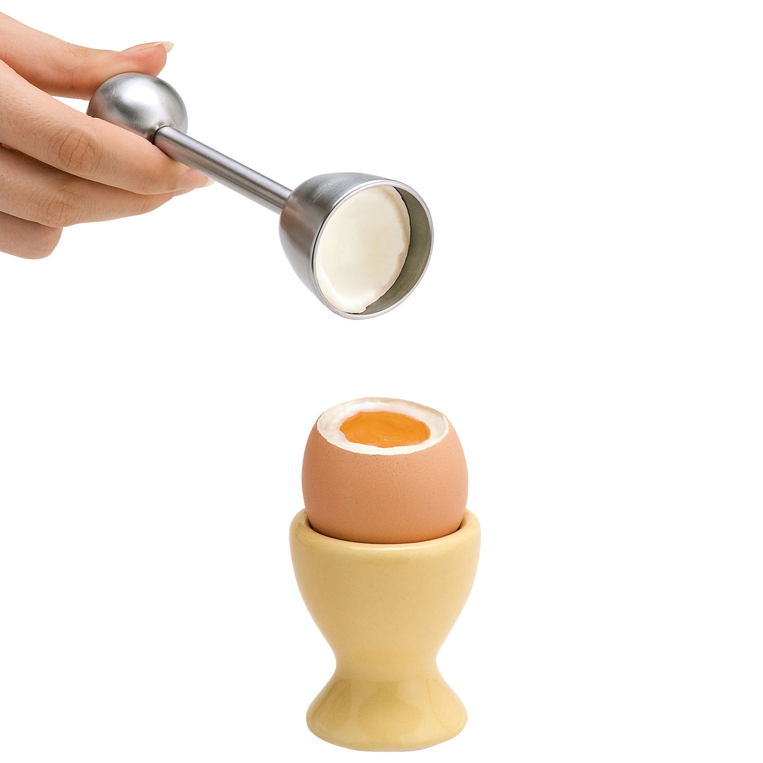 Toqueur à œuf de caille en acier inoxydable - La Guilde Culinaire - Toqueur à œuf - - La Guilde Culinaire