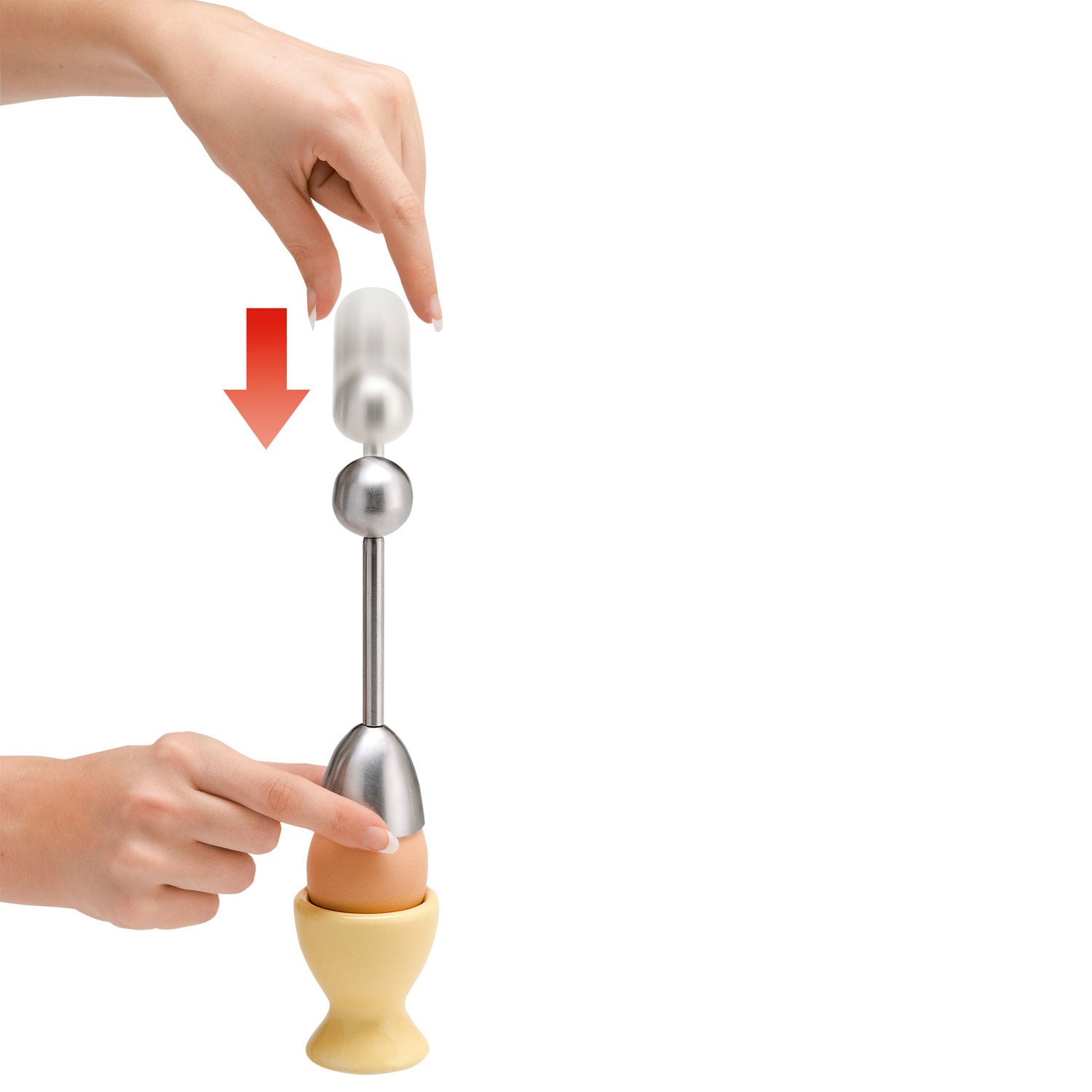 Toqueur à œuf de caille en acier inoxydable - La Guilde Culinaire - Toqueur à œuf - - La Guilde Culinaire