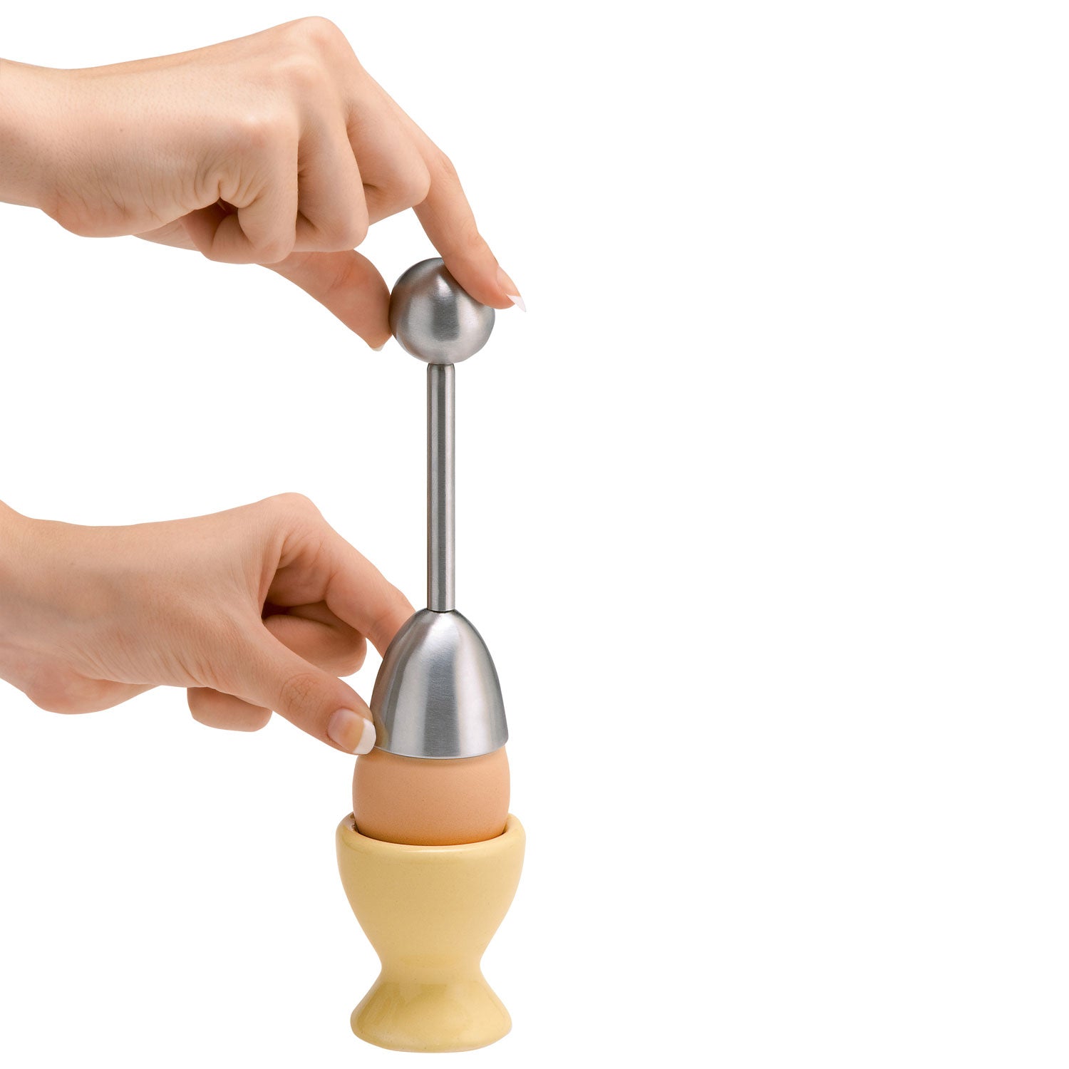 Toqueur à œuf de caille en acier inoxydable - La Guilde Culinaire - Toqueur à œuf - - La Guilde Culinaire