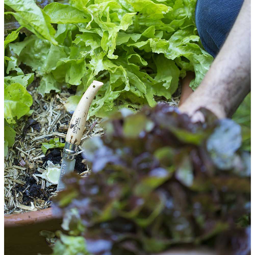 Opinel - N°08 Jardin - Opinel - Couteau de poche - - La Guilde Culinaire