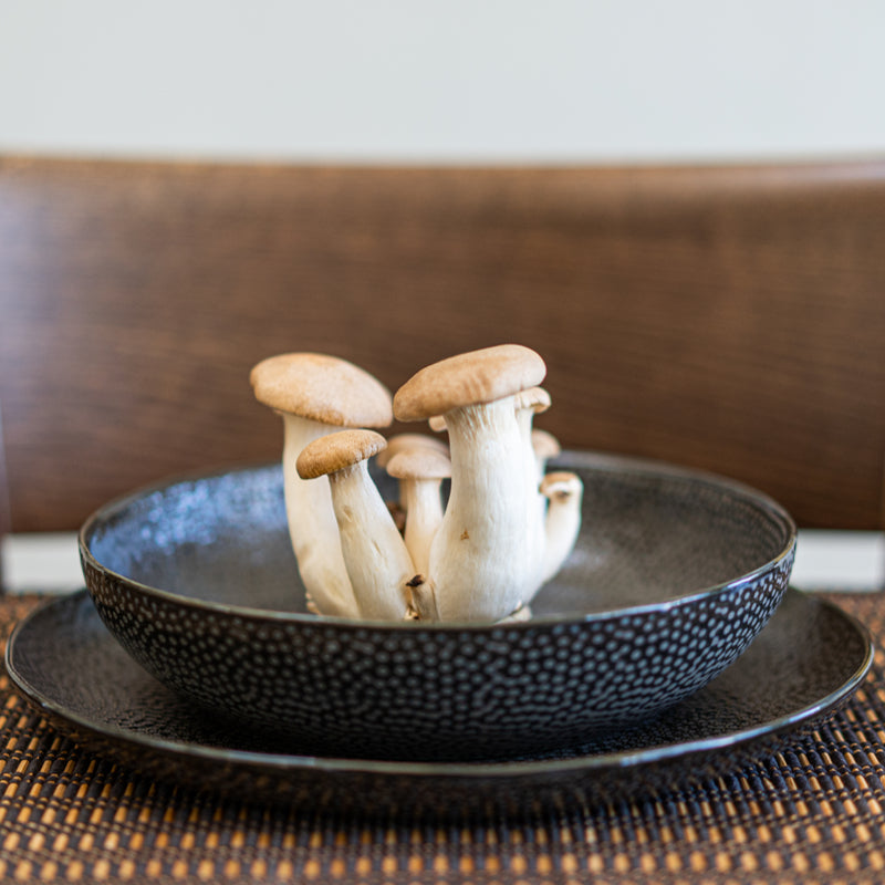 Bol à pâtes TRUFFES Noir - Bia - Bol - - La Guilde Culinaire