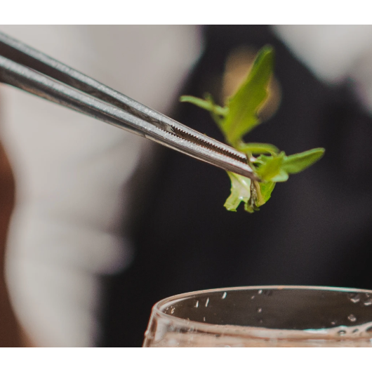 Pince de précision droite 8" - Browne - Pince de précision - - La Guilde Culinaire