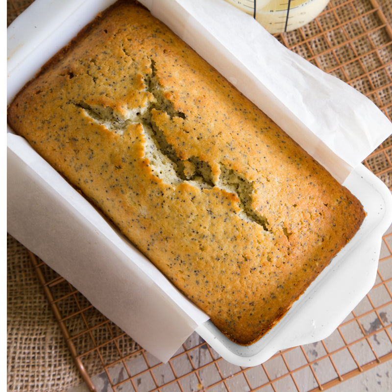 Moule à Pain en Porcelaine - Bia - Moule à pain - - La Guilde Culinaire