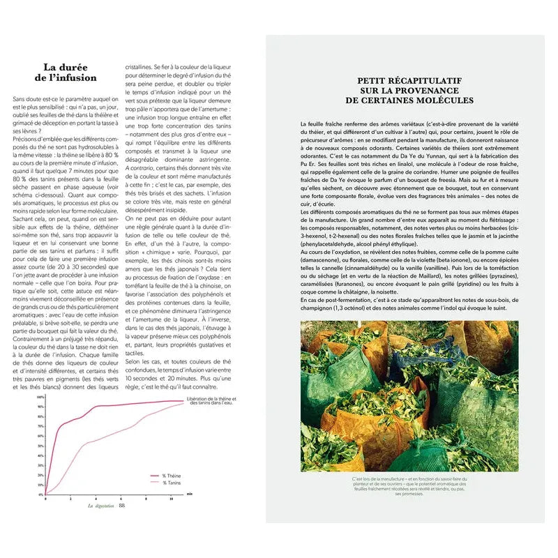 Le guide de dégustation de l'amateur de thé - Hachette Ed. - Livre d'alcool et boisson - - La Guilde Culinaire