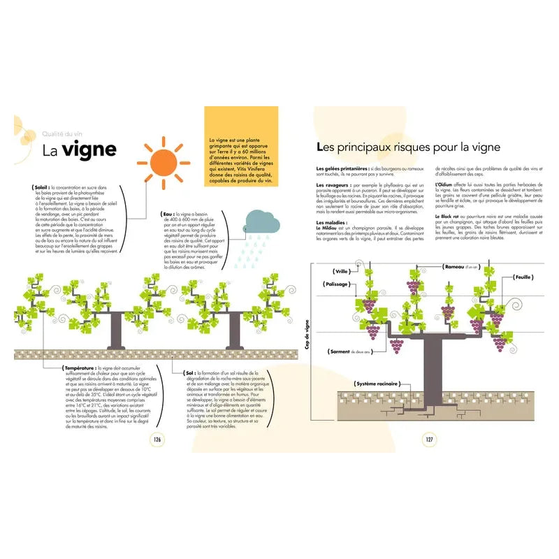 Le grand cours de dégustation - Hachette Ed. - Livre d'alcool et boisson - - La Guilde Culinaire