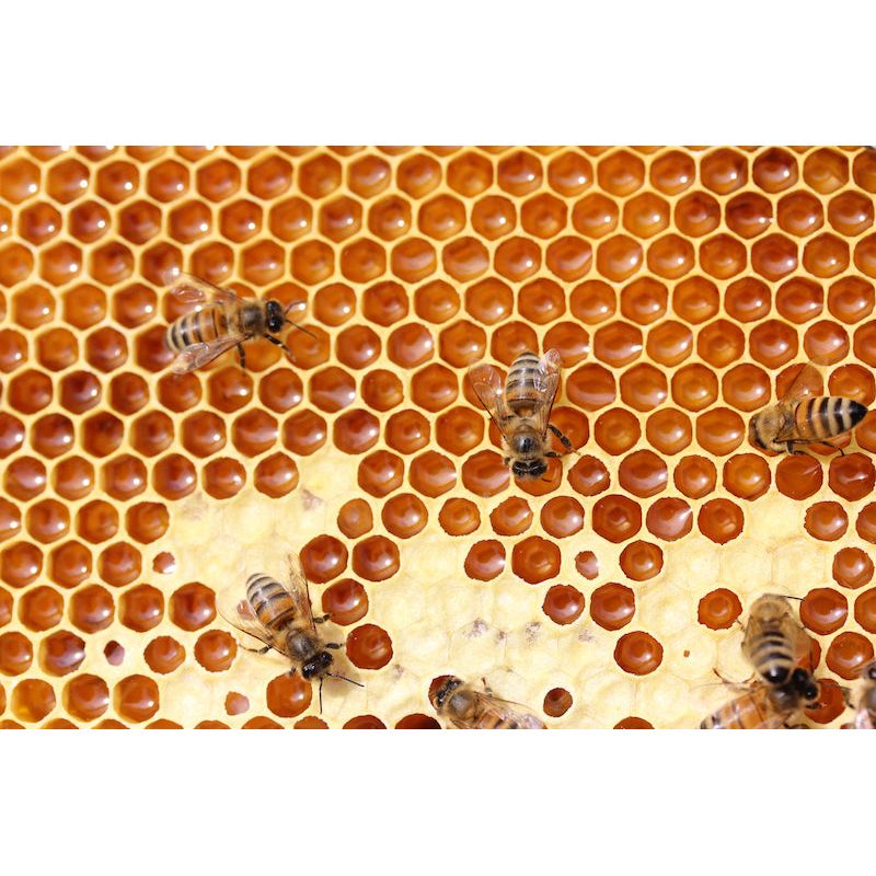 Emballage Api-Flex Trio Grand 30x35cm - Api-Flex - Emballage alimentaire - - La Guilde Culinaire