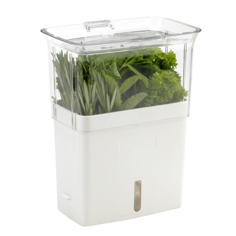 Grande jardinière pour herbes coupées - Cole & Mason - Jardinière - - La Guilde Culinaire