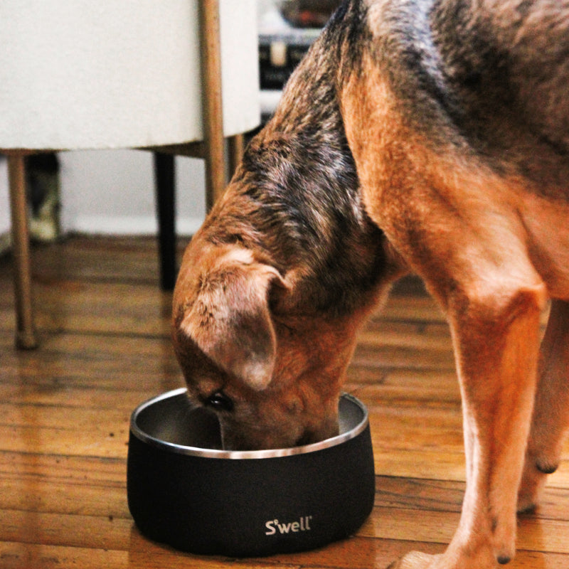 Bol pour animaux Onyx - 950ml (32oz) * - S'WELL - Bol pour animaux - - La Guilde Culinaire