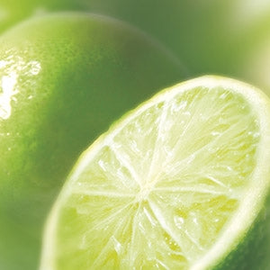 Purée de Citron Vert Surgelé 1kg    - Ravifruit - Purée de fruit - 
