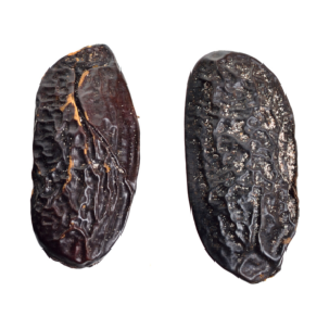 Fève de Tonka - 2 unités - La Guilde Culinaire - Tonka - - La Guilde Culinaire