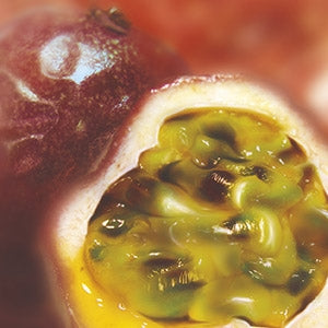 Purée de Fruit de la passion surgelée 1kg - Ravifruit - Purée de fruit - - La Guilde Culinaire