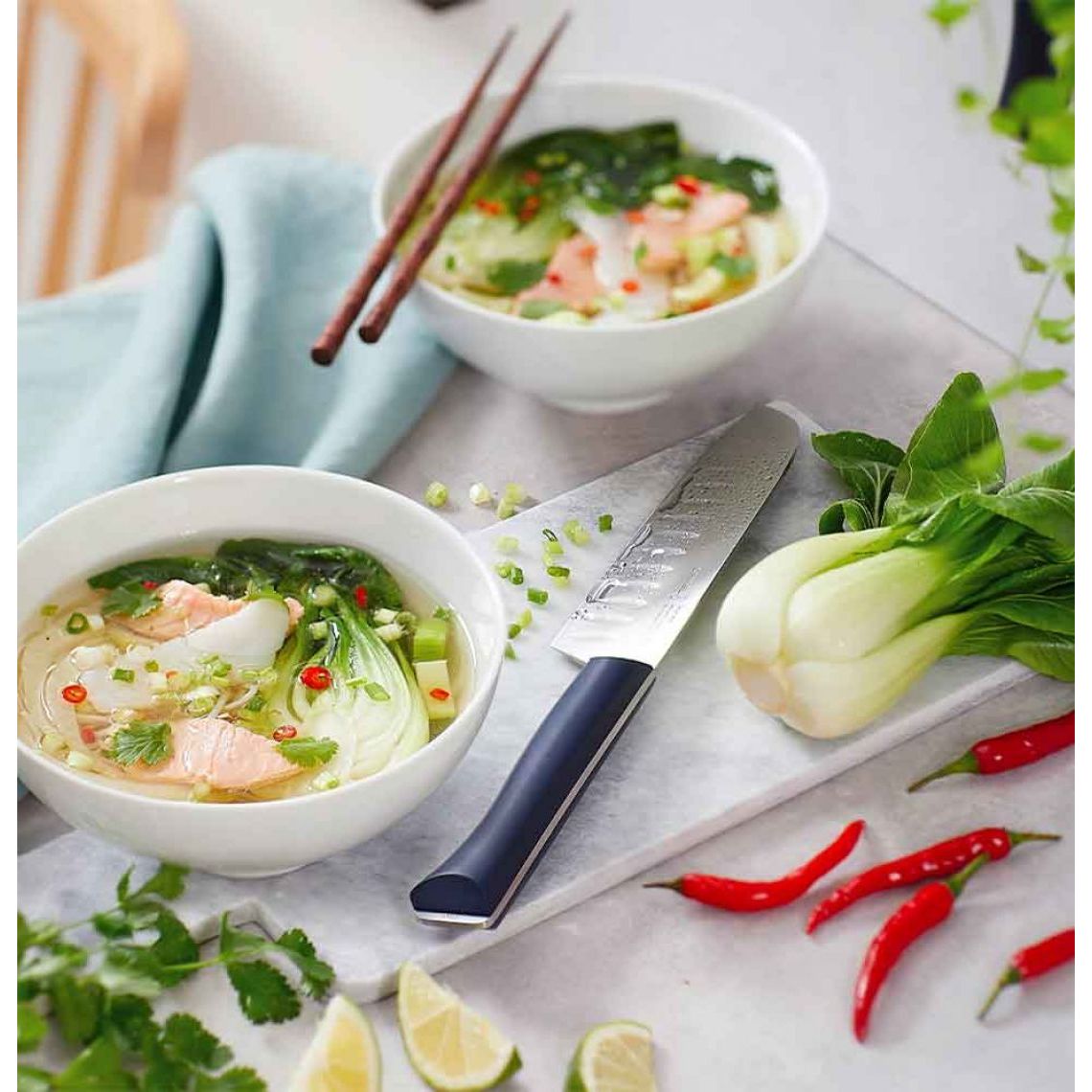 Opinel - N°219 Couteau Santoku Intempora - Opinel - Couteau de table - - La Guilde Culinaire