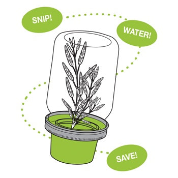 Couvercle Herb Saver pour pot Mason    - Jarware - Pot masson - 
