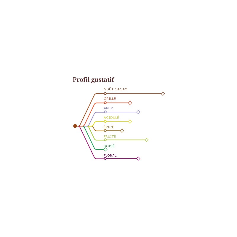 Chocolat St-Domingue Pure Origine 70% cacao - Cacao Barry - Chocolat noir - - La Guilde Culinaire