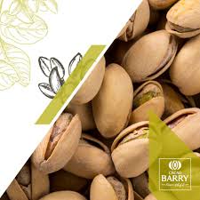 Pâte de praliné Pistaches 70% - Cacao Barry - Praliné - - La Guilde Culinaire