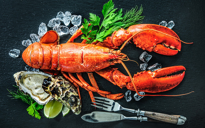 Homard 101 - Trucs et astuces pour cuisiner le homard