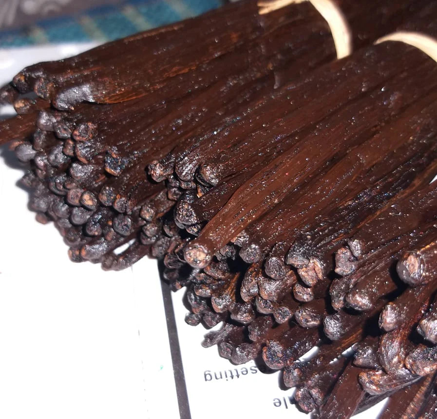 Gousses de Vanille de Madagascar - Bourbon (25g) - Colibri Vanille - Vanille - - La Guilde Culinaire