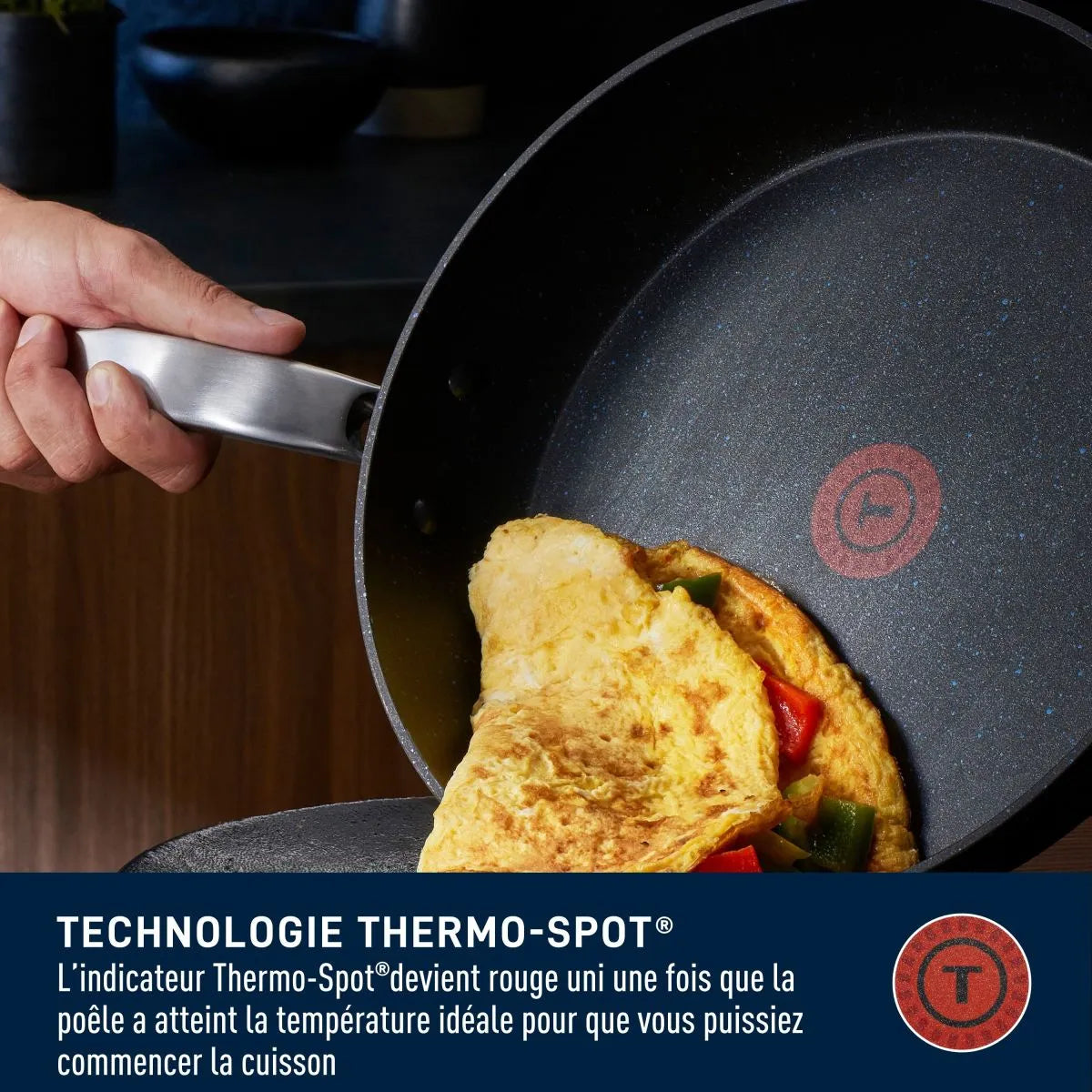 Cuiseur Géant Stone Shield de 5 pintes/ 11.8 po - T-fal - Poêle - - La Guilde Culinaire