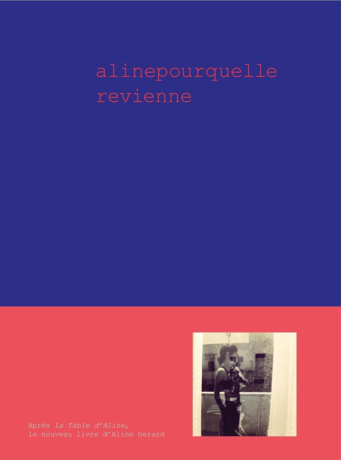 Aline pour qu'elle revienne - Hachette Ed. - Livre de cuisine - - La Guilde Culinaire