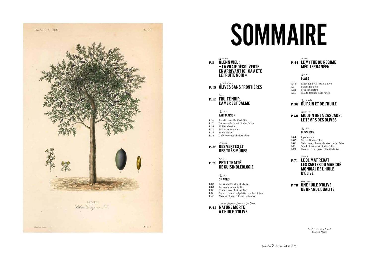 Les Grands Cahiers 180°C : Huile d'olive - Hachette Ed. - Livre de cuisine - - La Guilde Culinaire