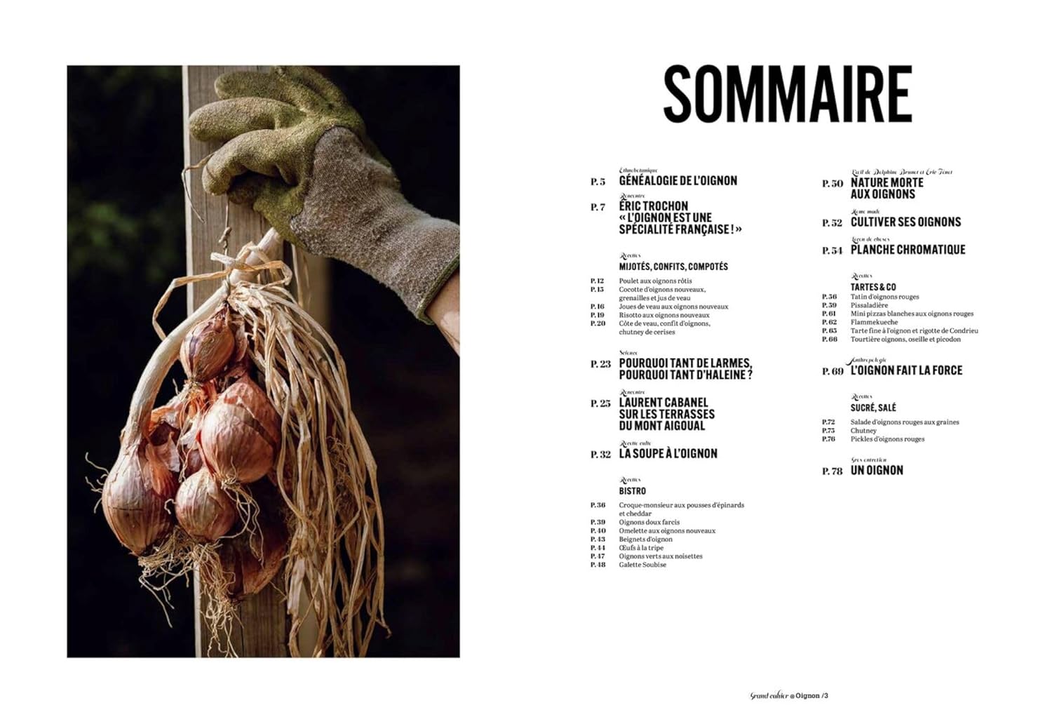 Les Grands Cahiers 180°C : Oignon - Hachette Ed. - Livre de cuisine - - La Guilde Culinaire