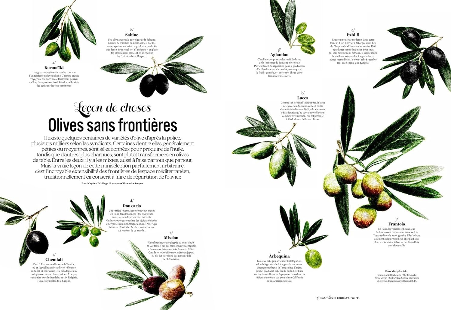 Les Grands Cahiers 180°C : Huile d'olive - Hachette Ed. - Livre de cuisine - - La Guilde Culinaire