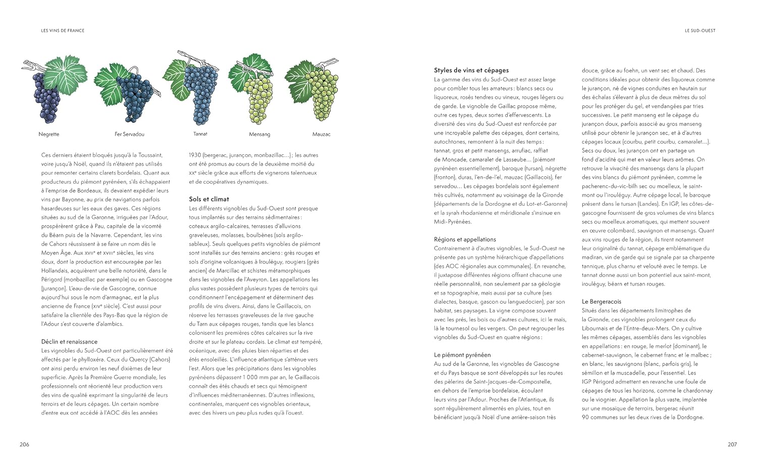 La petite encyclopédie Hachette des vins NED - Hachette Ed. - Livre d'alcool et boisson - - La Guilde Culinaire