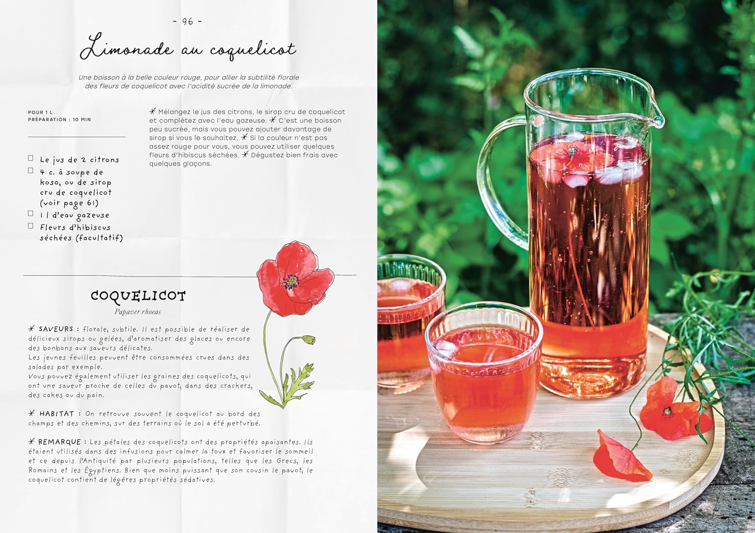 Le carnet de recettes d'une cueilleuse - La Plage Ed. - Livre de cuisine - - La Guilde Culinaire