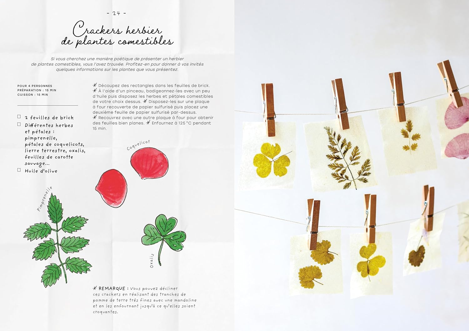 Le carnet de recettes d'une cueilleuse - La Plage Ed. - Livre de cuisine - - La Guilde Culinaire